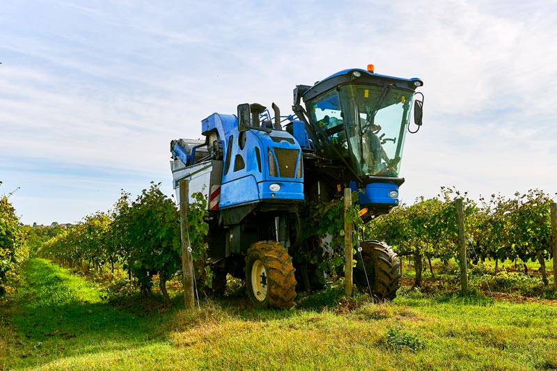 h motors application grape harvesting