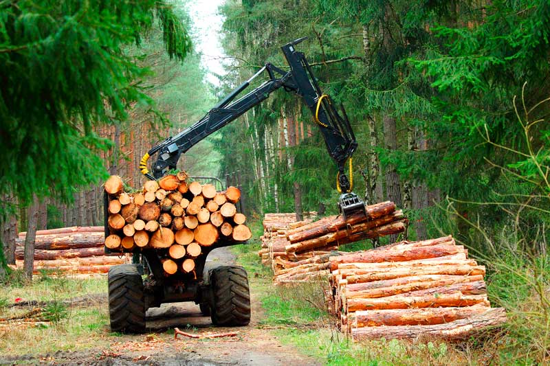m drive application slew drive for forestry machine timber harvester